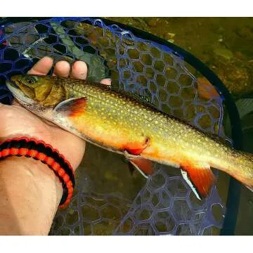 Aventik Fly Floating Fishing Net with Magnetic Release