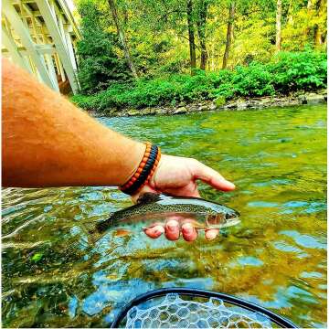 Aventik Fly Floating Fishing Net with Magnetic Release