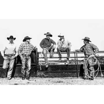 Coolness: Pure Elegance Anthology for Inspiration