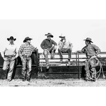 Coolness: Pure Elegance Anthology for Inspiration