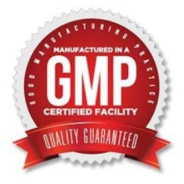 L-Tyrosine 500mg - Best Vegan Supplement for Brain Health