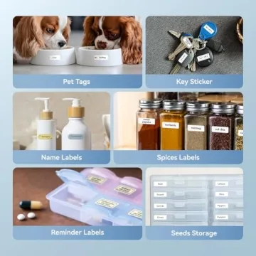 NIIMBOT D11 Portable Smart Label Maker for Easy Organization