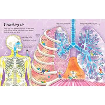 See Inside Your Body (International Edition)