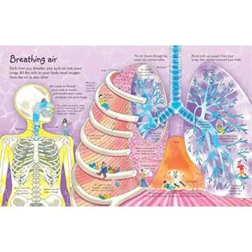 See Inside Your Body Engaging Lift-the-Flap Book