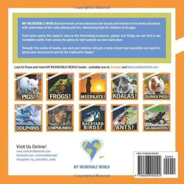 Owls!: A My Incredible World Picture Book for Children (My Incredible World: Nature and Animal Pictu...