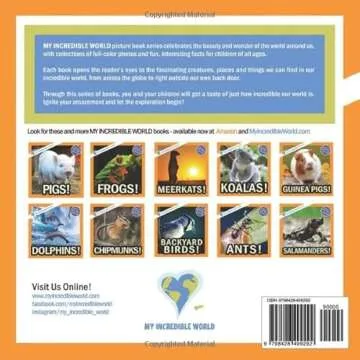 Owls!: A My Incredible World Picture Book for Children (My Incredible World: Nature and Animal Pictu...