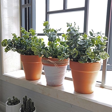 Supla Realistic Eucalyptus Leaves for Home Decor and Crafts