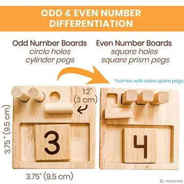 LITTLE BUD KIDS Counting Pegs Montessori Math Set