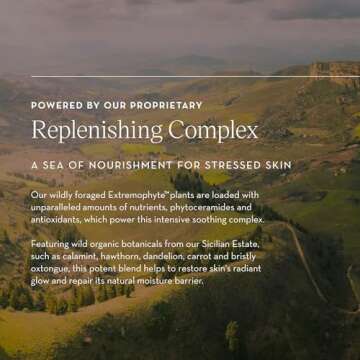 Furtuna Skin Olive Replenishing Balm - Intensive, Hydrating, Repair & Nourishment for Face, Neck, and Declotte - Organic and Vegan Ingredients, EWG Verified