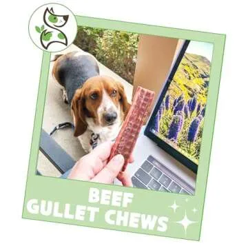 Nature Gnaws Beef Gullet Chews for Small Dogs 4-5" (20 Count) - Natural Beef Jerky Stick Dog Chew Treats - Rawhide Free