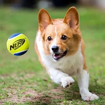 Nerf Dog Tennis Ball Dog Toy with Interactive Squeaker, Lightweight, Durable and Water Resistant, 2.5 Inches, for Small/Medium/Large Breeds, Three Pack, Assorted Colors