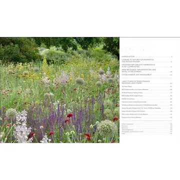 Sowing Beauty: Designing Flowering Meadows from Seed
