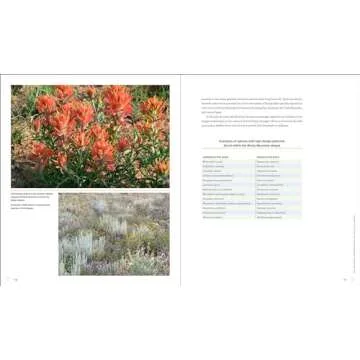 Sowing Beauty: Designing Flowering Meadows from Seed