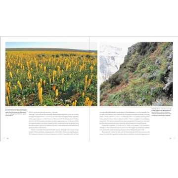 Sowing Beauty: Designing Flowering Meadows from Seed