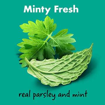 Chewsday Medium Minty Fresh Daily Dental Dog Chews, Made in The USA, Natural Highly-Digestible Oral Health Treats for Healthy Gums and Teeth - 28 Count