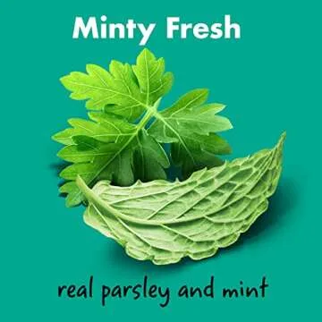 Chewsday Medium Minty Fresh Daily Dental Dog Chews, Made in The USA, Natural Highly-Digestible Oral Health Treats for Healthy Gums and Teeth - 28 Count