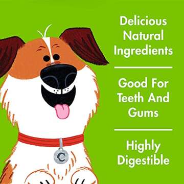 Chewsday Medium Minty Fresh Daily Dental Dog Chews, Made in The USA, Natural Highly-Digestible Oral Health Treats for Healthy Gums and Teeth - 28 Count