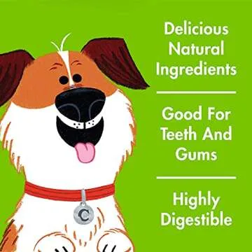 Chewsday Medium Minty Fresh Daily Dental Dog Chews, Made in The USA, Natural Highly-Digestible Oral Health Treats for Healthy Gums and Teeth - 28 Count