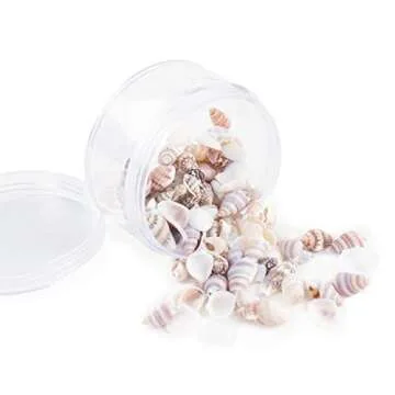 Miniature Fairy Garden Seashells for Crafting & Decor