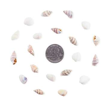 Miniature Fairy Garden Seashells for Crafting & Decor