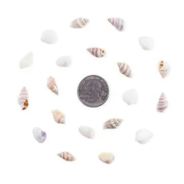 Miniature Fairy Garden Seashells for Crafting & Decor