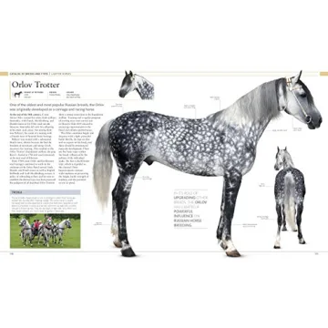 The Horse Encyclopedia Stunning Guide for Horse Lovers