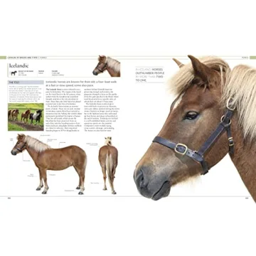 The Horse Encyclopedia Stunning Guide for Horse Lovers