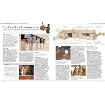 The Horse Encyclopedia Stunning Guide for Horse Lovers