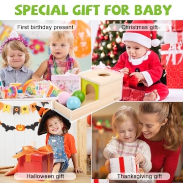 Adena Montessori Object Permanence Box with Three Balls