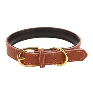 Aolove Padded Leather Pet Collars - Classic & Stylish for Small Pets