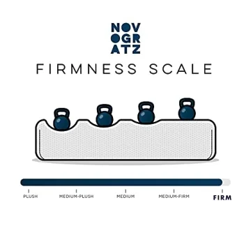 Novogratz Brittany Futon Sofa Bed, Stylish & Versatile