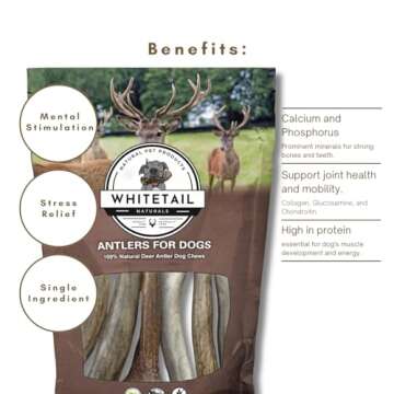 Premium Elk Antler Chews for Large Dogs | WhiteTail Naturals