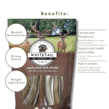 Premium Elk Antler Chews for Large Dogs | WhiteTail Naturals