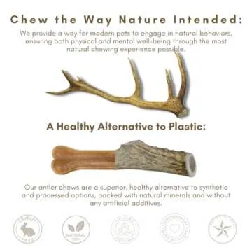 Premium Elk Antler Chews for Large Dogs | WhiteTail Naturals
