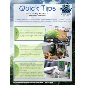 Harrison's Premium Organic Bird Food for Healthier Birds