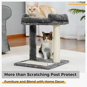 PAWZ Road Cat Scratching Post Bed, Small Cat Tree Tower with Cat Scratcher Pad Large Top Removable Bed with Play Ball Great for Kittens and Cats