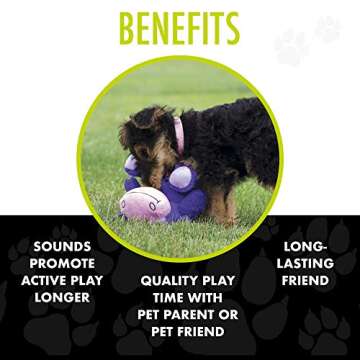 Hero | Chuckles Hippo Plush Dog Toy | Dog Squeaky Toys | Durable Stuffed Animal with 3 in 1 Squeaker