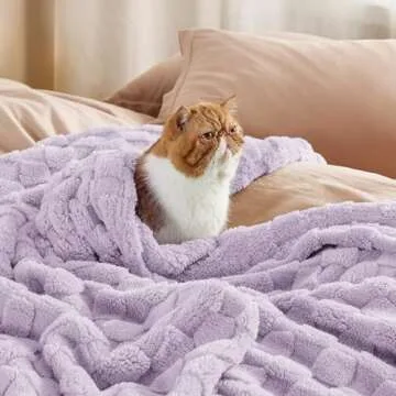 Bedsure Lavender Fog Fleece Blanket for Couch - Super Soft Cozy Queen Blankets for Women, Cute Small Throws for Girls, 90x90 Inches