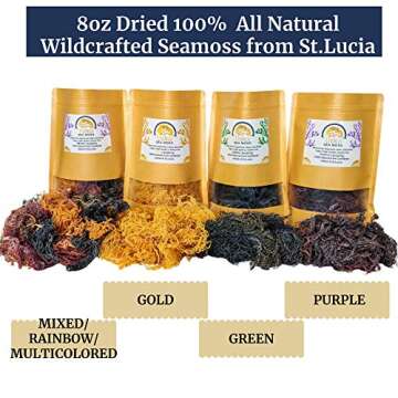Wildcrafted Sea Moss | Gold - Purple - Green - Mixed | 100% Natural Irish Moss from St.Lucia | Mineral-Rich Superfood | 8oz Sun-Dried Moss | NO Preservatives NO Chemicals