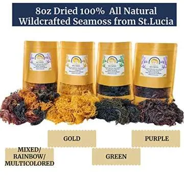 Wildcrafted Sea Moss | Gold - Purple - Green - Mixed | 100% Natural Irish Moss from St.Lucia | Mineral-Rich Superfood | 8oz Sun-Dried Moss | NO Preservatives NO Chemicals