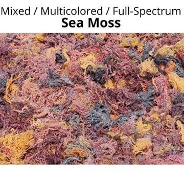 Wildcrafted Sea Moss | Gold - Purple - Green - Mixed | 100% Natural Irish Moss from St.Lucia | Mineral-Rich Superfood | 8oz Sun-Dried Moss | NO Preservatives NO Chemicals