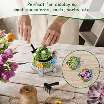 LESES Cute Turtle Planter for Indoor Plants with Drainage