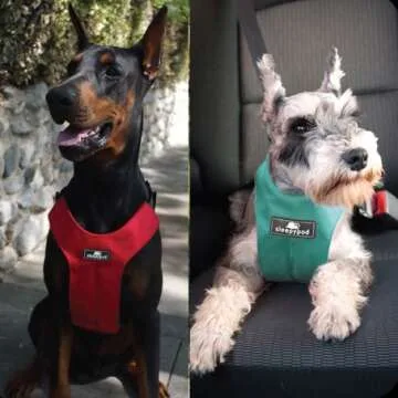 Sleepypod ClickIt Sport Car Safety Dog Harness - Large Black