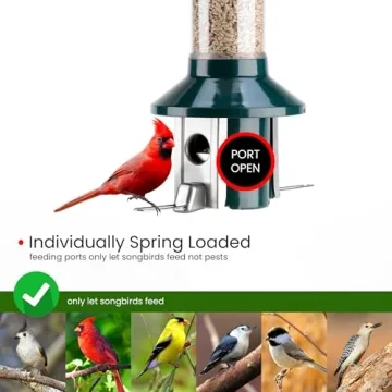 Roamwild PestOff 2.0 Squirrel Proof Bird Feeder - 4LBS Capacity