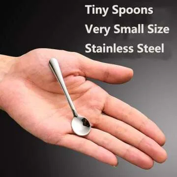 Cute Tiny Stainless Steel Spoons for Spices and Condiments
