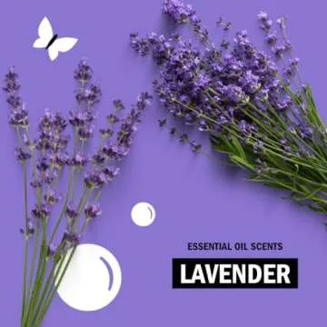 Molly's Suds Natural Liquid Dish Soap | Long-Lasting, Powerful Plant-Powered Ingedients | Soothing Lavender Scent | 16 oz - 2 Pack