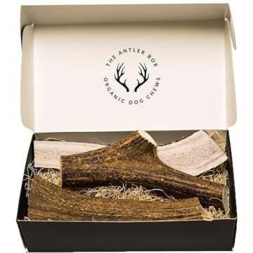 The Antler Box Premium Elk Antler Dog Chews (1 Pound Box) (Large (3 Pieces) Whole/Split Mixed)