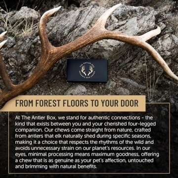 The Antler Box Premium Elk Antler Dog Chews (1 Pound Box) (Large (3 Pieces) Whole/Split Mixed)