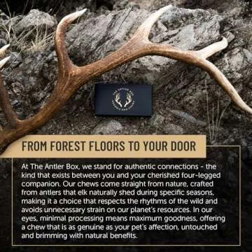The Antler Box Premium Elk Antler Dog Chews (1 Pound Box) (Large (3 Pieces) Whole/Split Mixed)