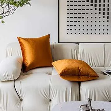 Demetex Pillow Covers 18x18 Soft Dcorative Velvet Throw Pillows for Couch Square Burn Orange Pillow Cases for Autumn Patio Living Room, Set of 2, 18 x 18 inch, Copper